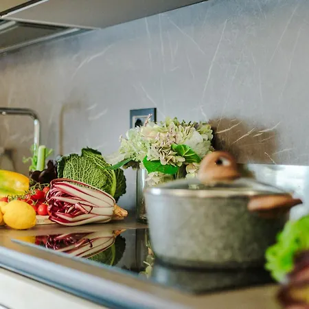 Apartment Cecilia House